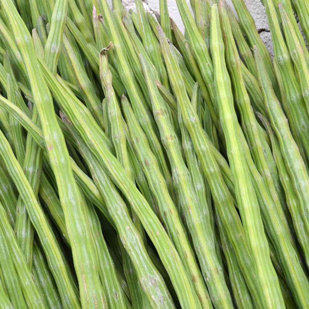 Drumstick