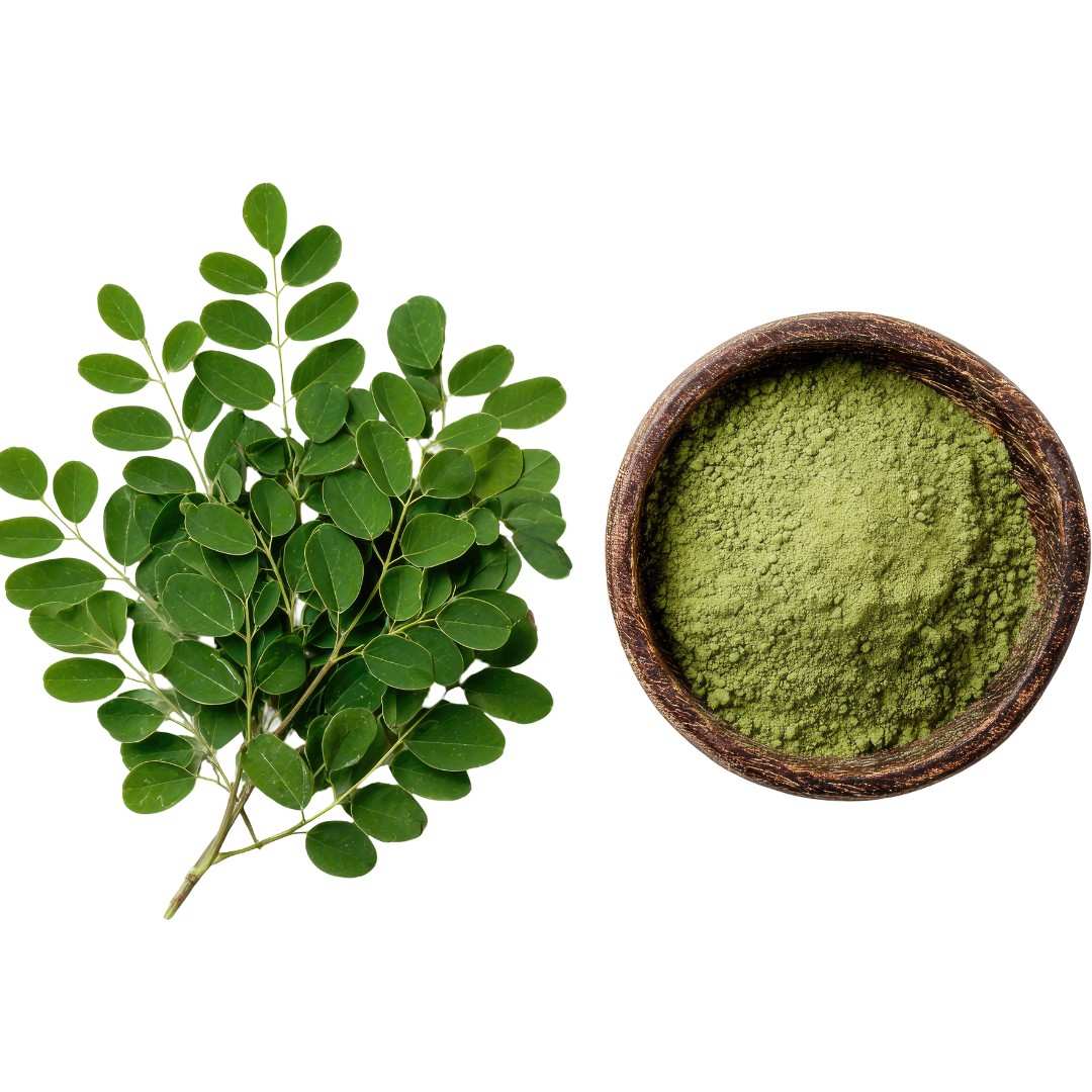 Moringa Powder